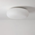 Contemporary Oval Iron LED Flush Mount Ceiling Light