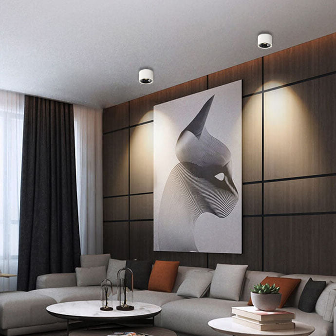 Adjustable LED Round Flush Mount Ceiling Light