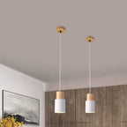 Nordic Aluminum LED Pendant Light