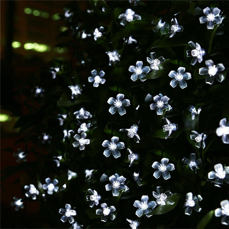 Premium Waterproof Solar LED Sakura Fairy String Lights
