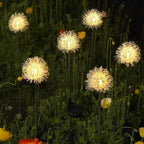 Premium Solar Dandelion LED Garden Light