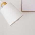 Premium Minimalist Iron Floor Lamp - 1 Light