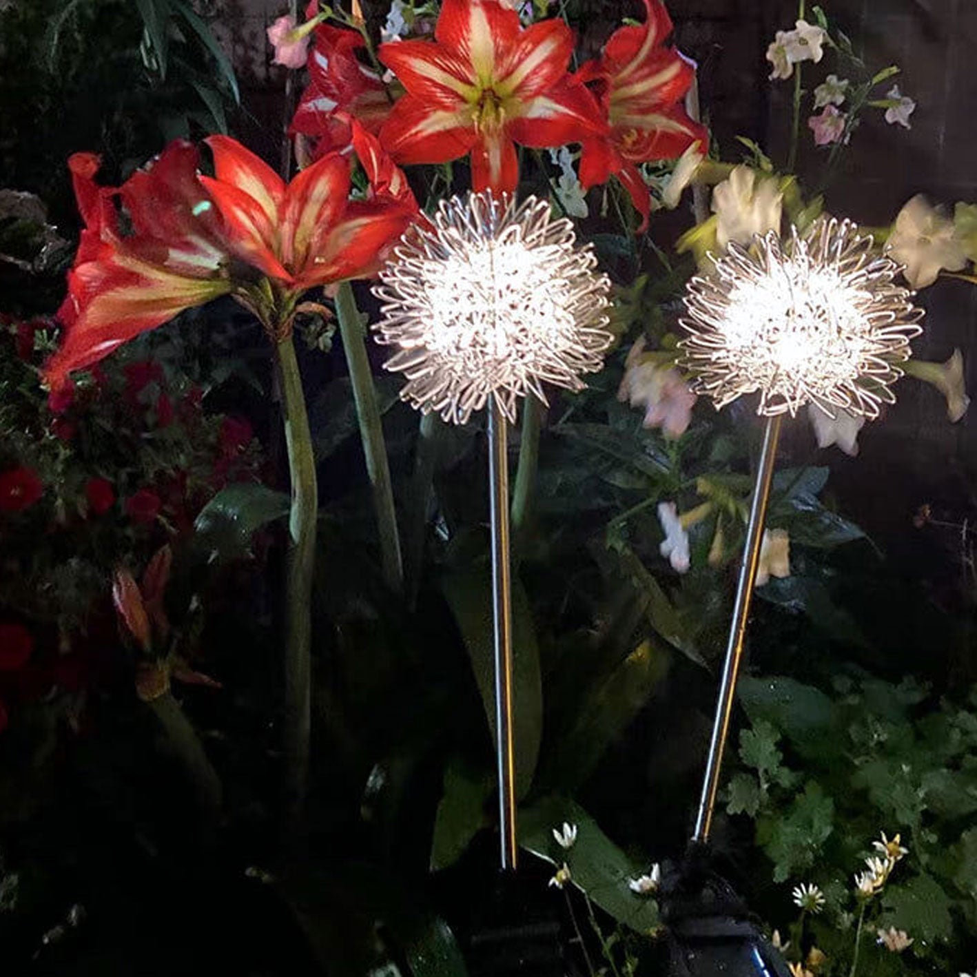 Premium Solar Dandelion LED Garden Light