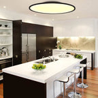 Contemporary Round Acrylic LED Flush Mount Ceiling Light