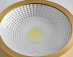 Contemporary Brass LED Flush Mount Ceiling Spotlight