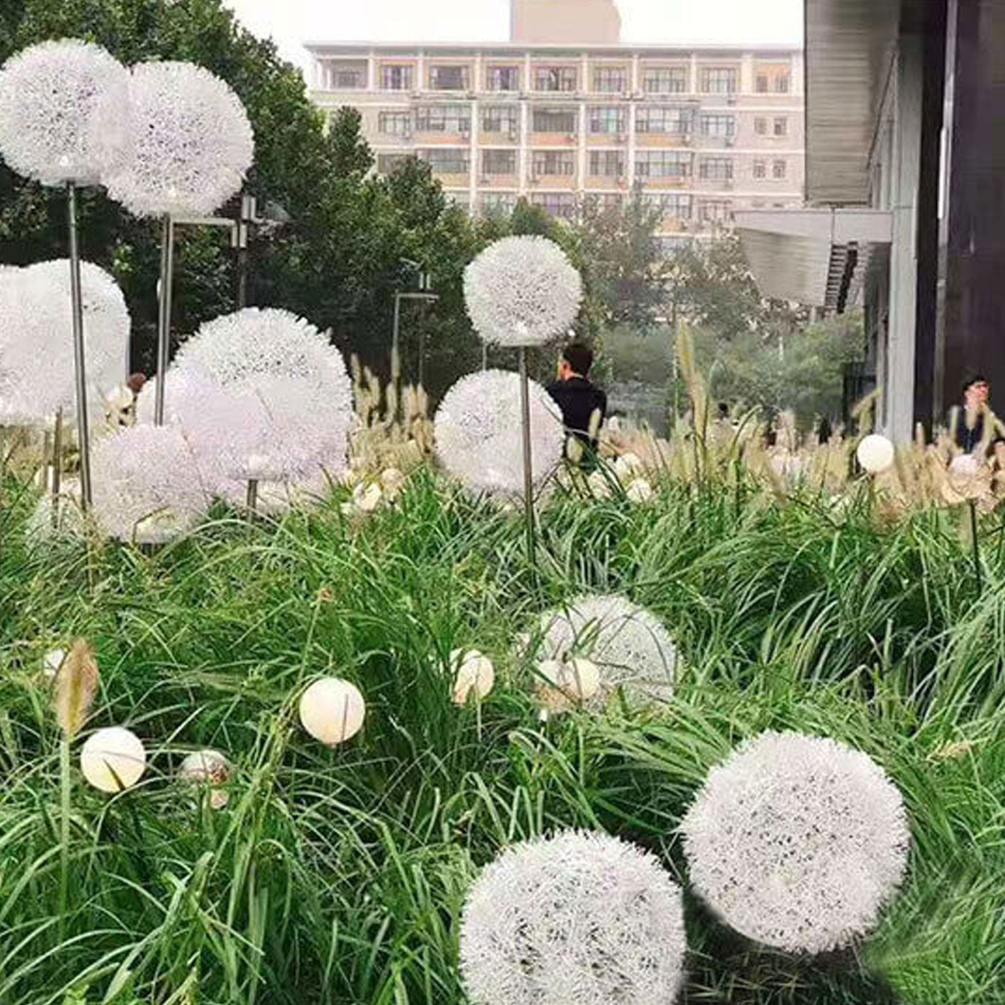Premium Solar Dandelion LED Garden Light