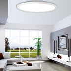 Contemporary Round Acrylic LED Flush Mount Ceiling Light