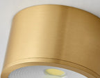 Contemporary Brass LED Flush Mount Ceiling Spotlight