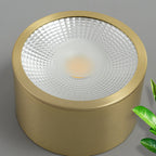 Contemporary Brass LED Flush Mount Ceiling Spotlight