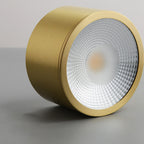 Contemporary Brass LED Flush Mount Ceiling Spotlight