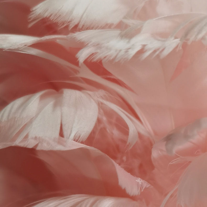 Nordic Goose Feather Flamingo Table Lamp - 1-Light Design for Bedside