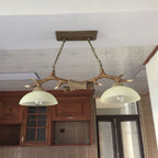 Vintage Antler Glass Bowl Chandelier