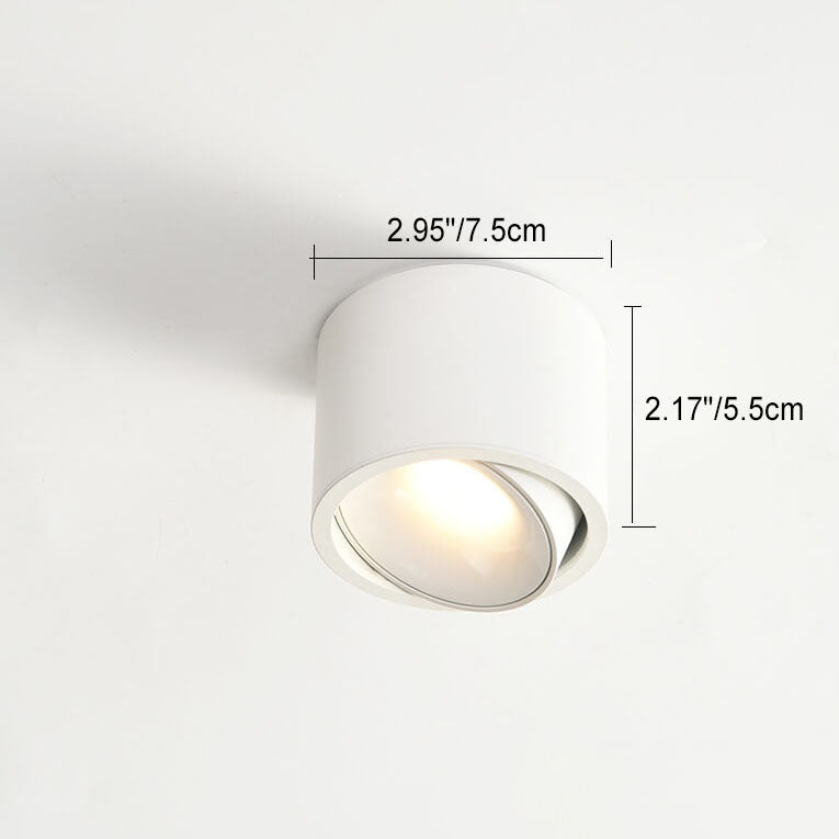 Adjustable LED Round Flush Mount Ceiling Light
