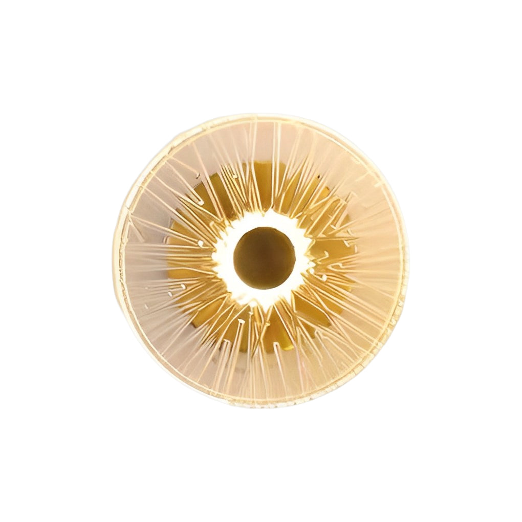 Luxury Round Glass LED Wall Light - Modern Home Decor