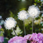 Premium Solar Dandelion LED Garden Light