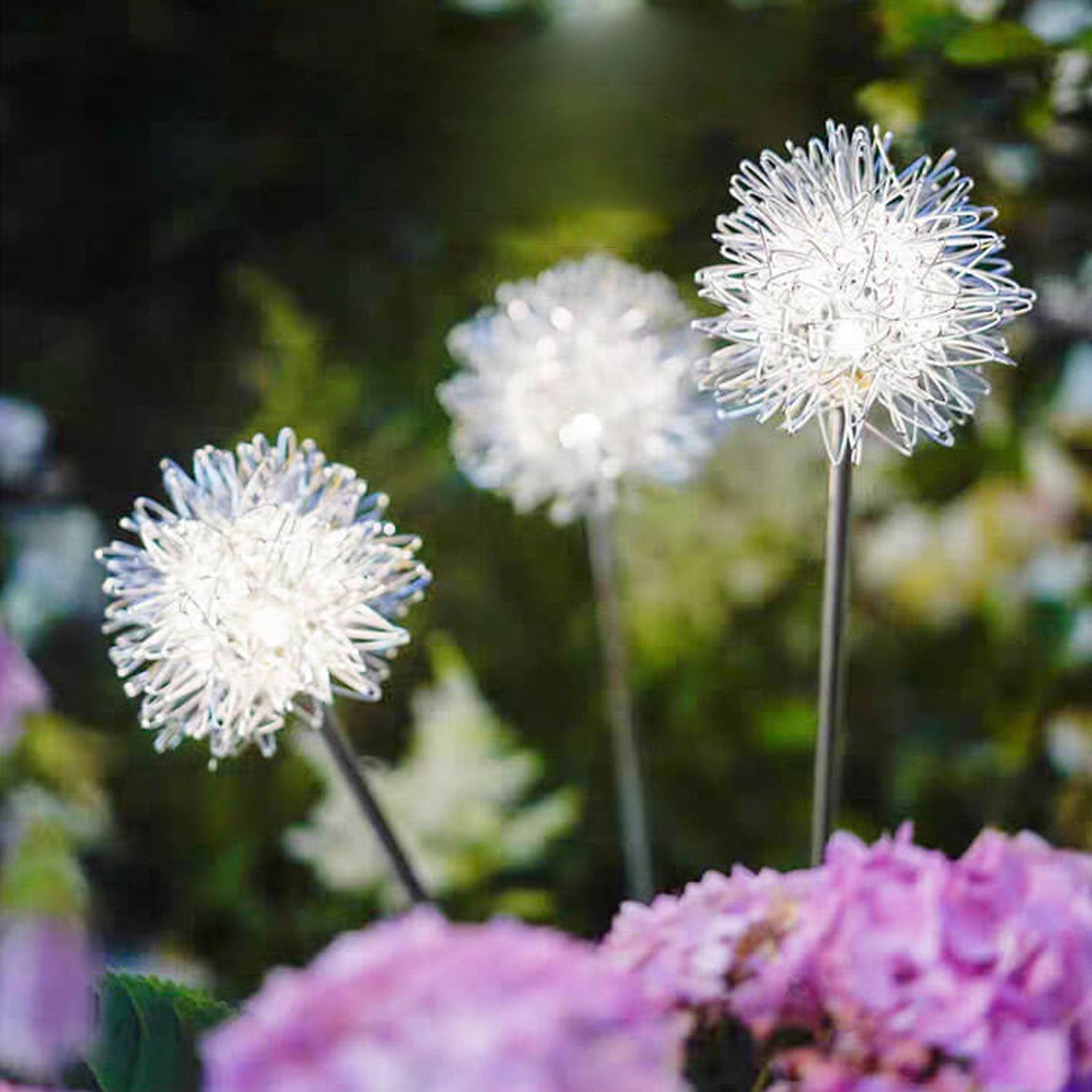 Premium Solar Dandelion LED Garden Light