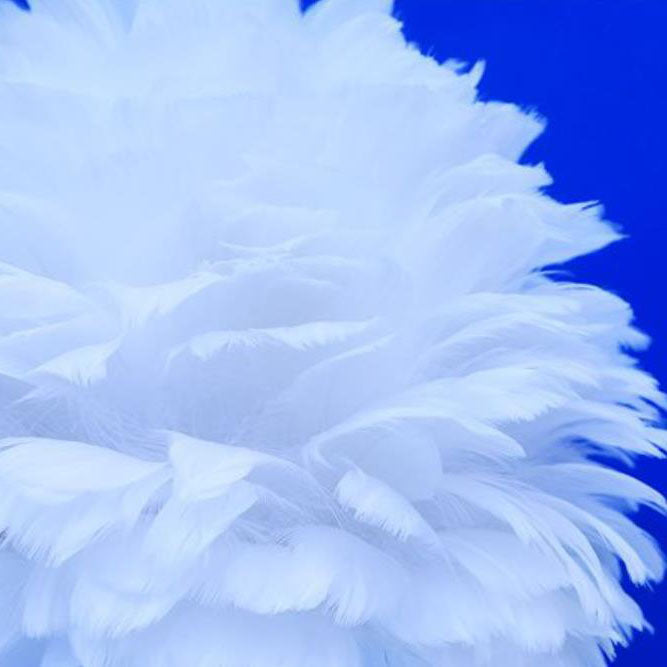 Children's Unicorn Feather Table Lamp - 1-Light Modern Design