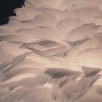Children's Unicorn Feather Table Lamp - 1-Light Modern Design