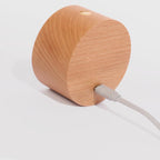Wooden USB Rechargeable LED Wall Sconce