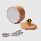Wooden USB Rechargeable LED Wall Sconce