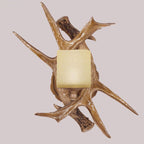 Retro Antler Glass Wall Sconce