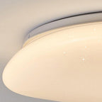 Minimalist Pebble Acrylic LED Flush Mount Ceiling Light for Bedroom