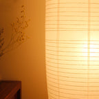Nordic Minimalist 2-Light Rice Paper Floor Lamp