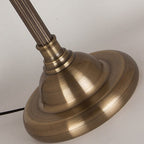 Retro Gold Iron Long Arm LED Table Lamp