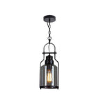 Vintage Industrial Iron and Glass 1-Light Pendant Lamp