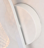 Glass Shade Resin Bird Wall Sconce