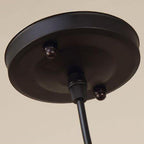 Vintage Rattan Dome Pendant Light - 1-Light Fixture