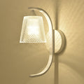 Glass Shade Resin Bird Wall Sconce