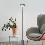 Premium Nordic Minimalist LED Floor Lamp