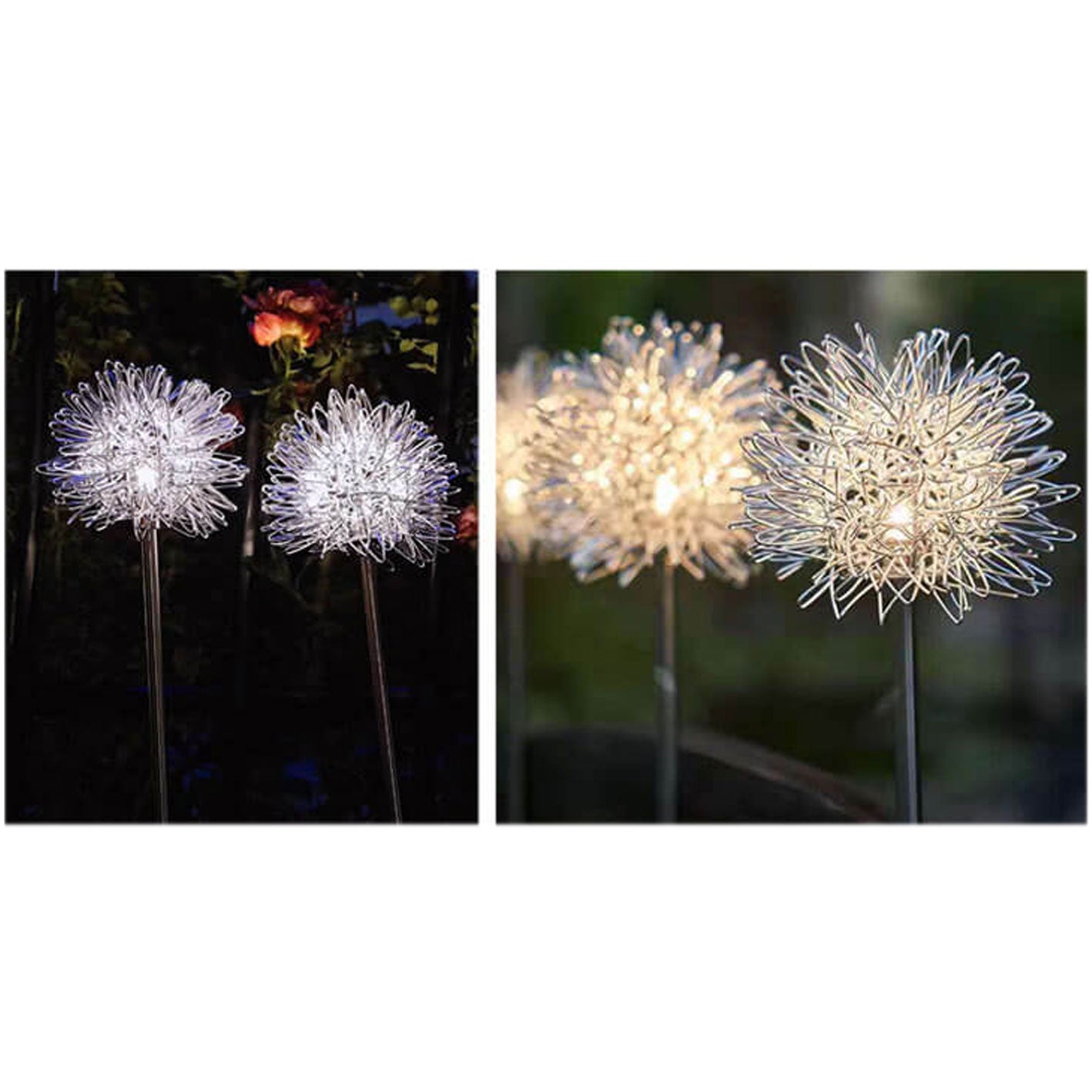 Premium Solar Dandelion LED Garden Light