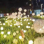 Premium Solar Dandelion LED Garden Light