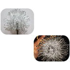 Premium Solar Dandelion LED Garden Light