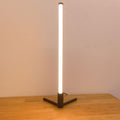 Elegant Minimalist LED Table Lamp - Creative Bar Night Light