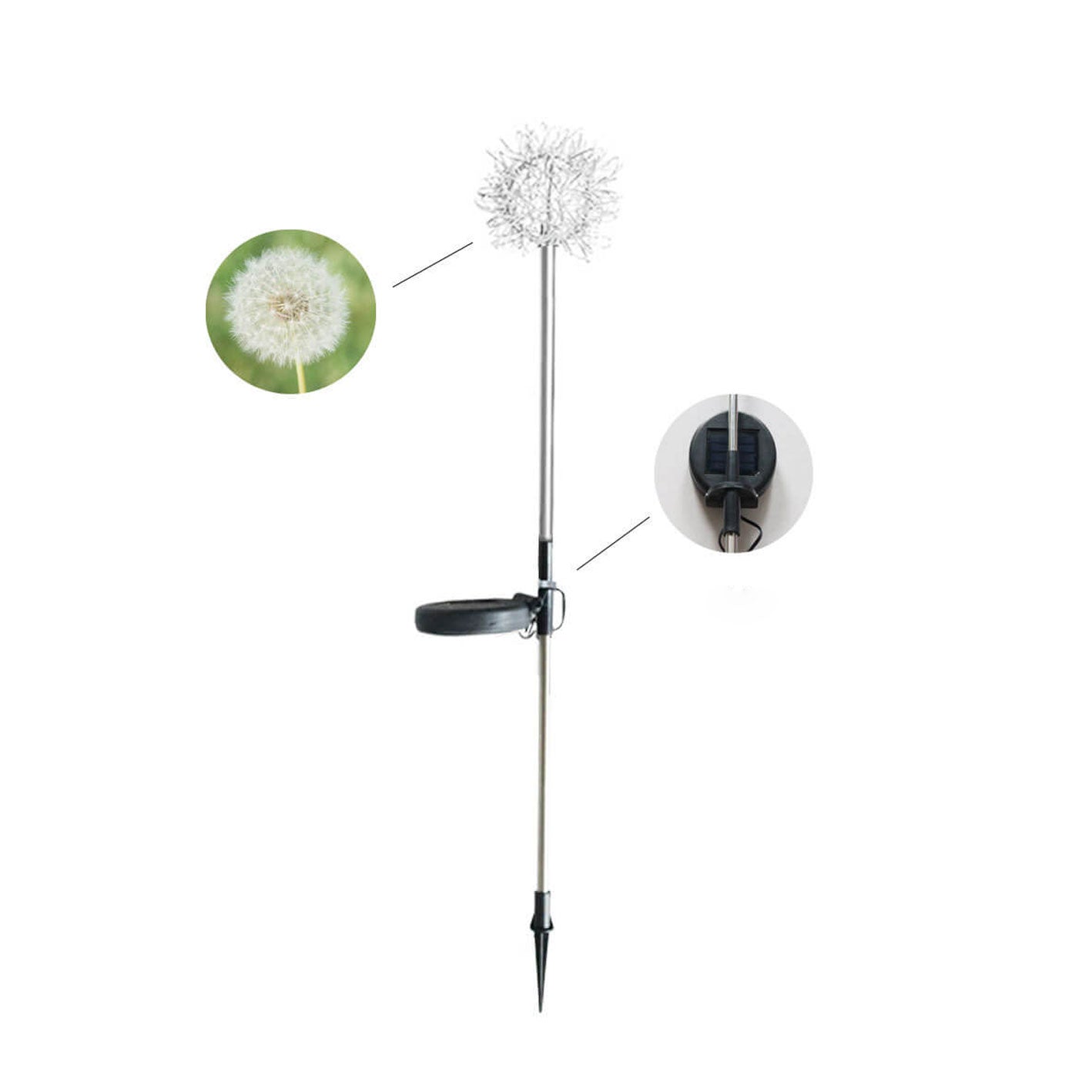 Premium Solar Dandelion LED Garden Light