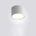 Aluminum LED Flush Mount Ceiling Light