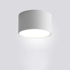Aluminum LED Flush Mount Ceiling Light