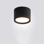 Aluminum LED Flush Mount Ceiling Light