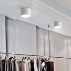Aluminum LED Flush Mount Ceiling Light