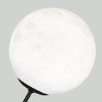 Modern Panda Design LED Table Lamp with Resin Base and PVC Lampshade for Bedroom
