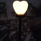 Heart-Shaped Solar LED Outdoor Light - Waterproof Modern