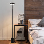 Scandinavian Round Iron LED Floor Lamp for Bedroom