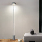 Scandinavian Round Iron LED Floor Lamp for Bedroom