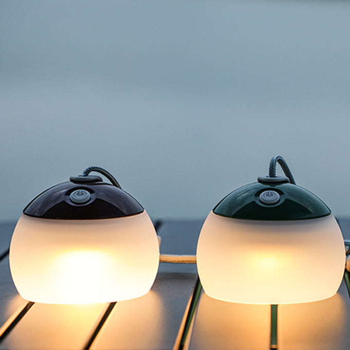 Rechargeable LED Globe Light