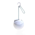 Rechargeable LED Globe Light