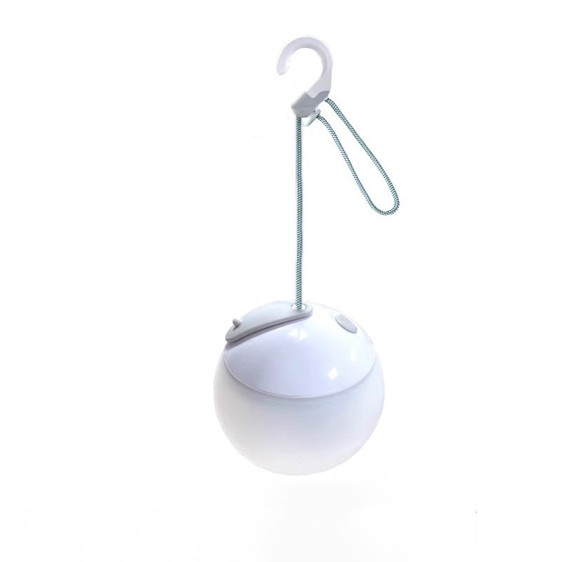 Rechargeable LED Globe Light