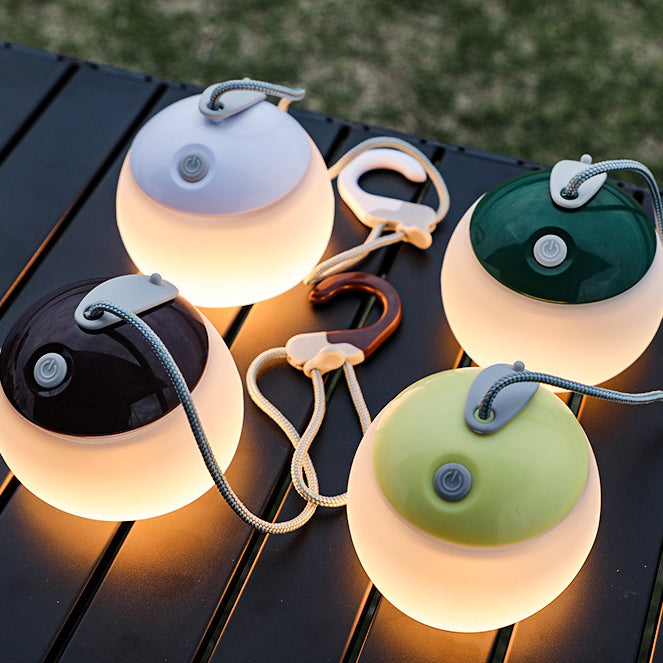 Rechargeable LED Globe Light